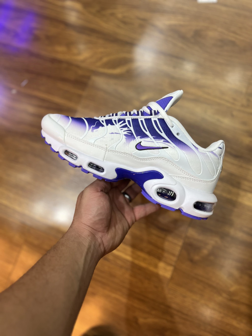 Air Max TN “Purple Dragon”